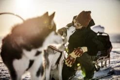 Hestra Sarek Ecocuir 5-finger -Hestra 499 5b3064859f e1a7003 original