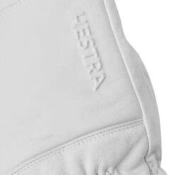 Hestra Omni Insulated Mitten -Hestra WH D6
